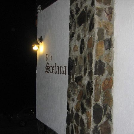 Vila Stefana Păltiniş المظهر الخارجي الصورة